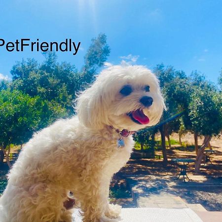 Bungalow Sequero #Pet Friendly Tuineje Exterior photo