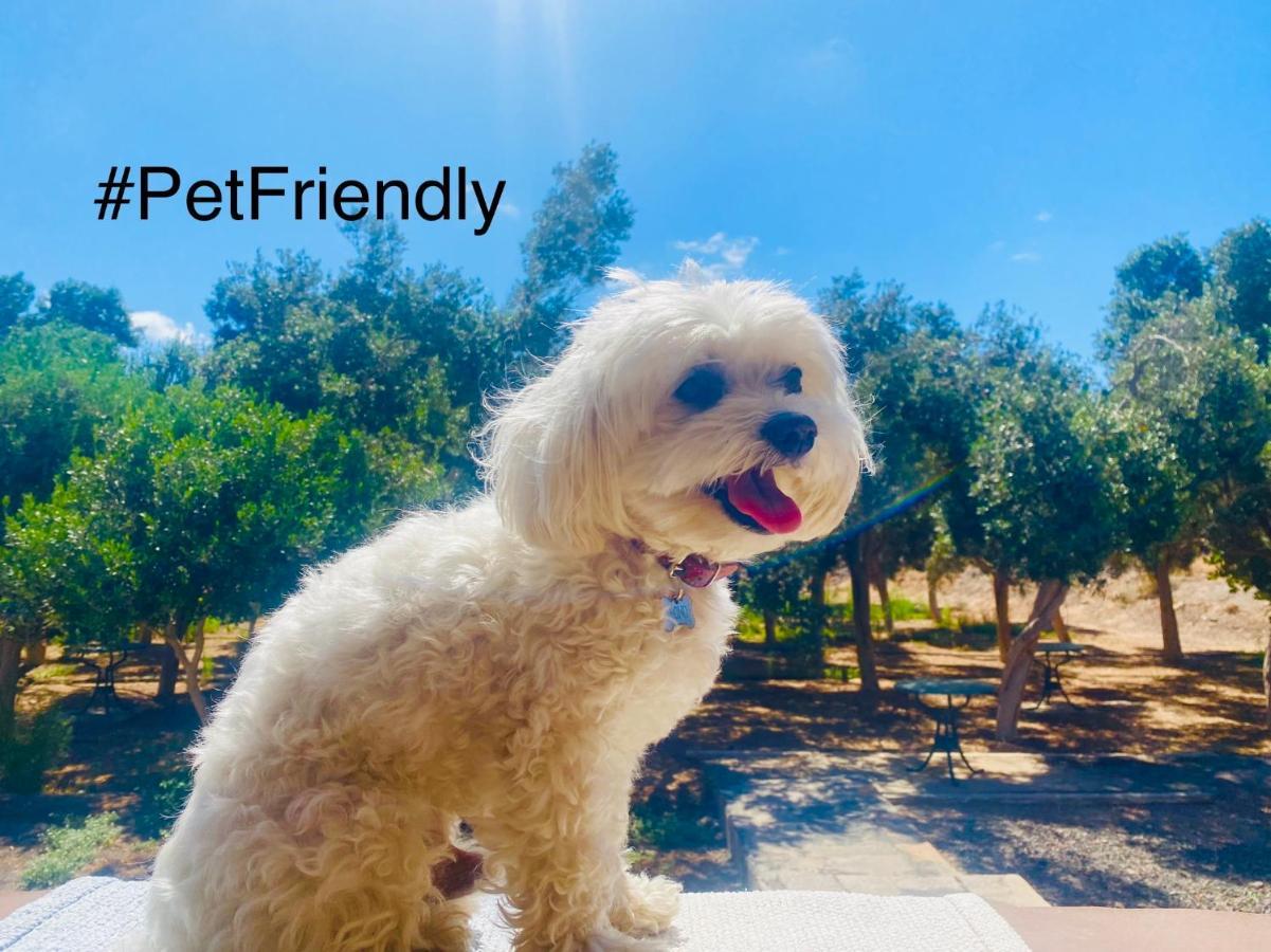 Bungalow Sequero #Pet Friendly Tuineje Exterior photo